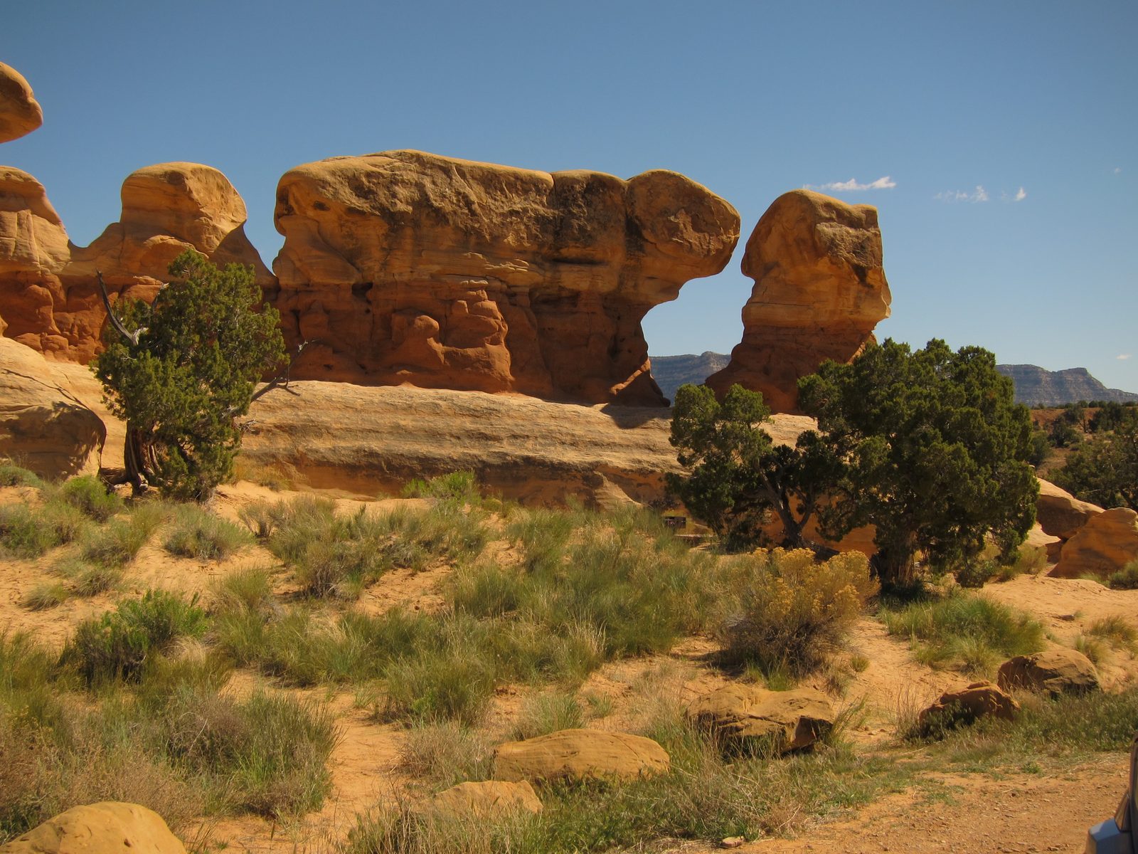 More of the HooDoo's which were just scattered around the landscape which, except for this few...